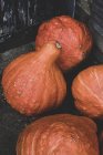 Nahaufnahme von frisch geernteten Orangen-Radstangen-Kürbissen. — Stockfoto