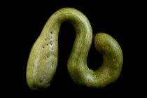 Close-up green snake gourd on black background. — Stock Photo