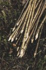 Alto ângulo close-up de um monte de estacas de madeira usadas na construção de sebes tradicional . — Fotografia de Stock