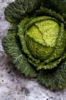 Still life of fresh round green savoy cabbage. — Stock Photo