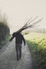 Rear view of man walking down rural path, carrying bunch of wooden pleachers used in traditional hedge building. — Stock Photo