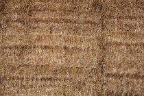 Full frame of neatly stacked straw in bale. — Stock Photo