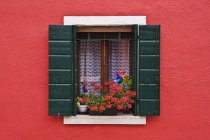 Open shuttered window in red wall with flowers — Stock Photo