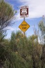 Route 66 e sinais sem saída, Novo México, Estados Unidos — Fotografia de Stock
