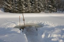 Trou de glace dans les forêts rurales en hiver, Estonie, Europe — Photo de stock