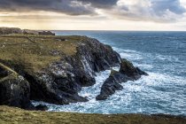 Rugged ocean coast of Pembrokeshire National Park, Gales, Reino Unido . - foto de stock