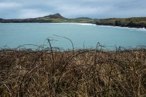 Littoral océanique herbeux du parc national du Pembrokeshire, Pays de Galles, Royaume-Uni . — Photo de stock
