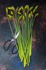 High angle view of bunch of daffodils and pair of scissors. — Stock Photo