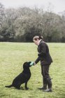 Frau steht draußen auf Feld und gibt schwarzem Labrador-Hund grünes Spielzeug. — Stockfoto