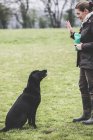 Frau steht auf Feld und gibt Handbefehl an schwarzen Labrador-Hund. — Stockfoto