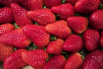 Fresas maduras rojas afrutadas frescas, marco completo - foto de stock