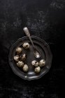 Pewter plate with small spotted quail eggs and vintage spoon, top view. — Stock Photo