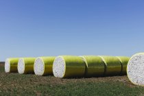 Fardos de algodão colhidos embrulhados em vinil de plástico amarelo em Great Plains, Kansas, EUA — Fotografia de Stock