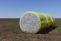 Harvested cotton bales wrapped in yellow plastic vinyl in Great Plains, Kansas, USA — Stock Photo