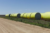 Balles de coton récoltées enveloppées dans du vinyle plastique jaune dans les Grandes Plaines, Kansas, États-Unis — Photo de stock