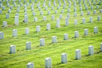 Fileiras de túmulos de guerra no cemitério de guerra em Richmond, Virgínia, Estados Unidos — Fotografia de Stock