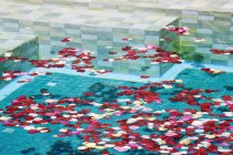 Swimming pool with rose petals, close-up — Stock Photo