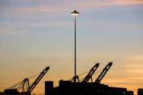 Lichtmasten und Ladekräne im Hafen von Seattle, Washington, USA — Stockfoto