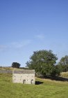 Grange en pierre dans la prairie du parc national Yorkshire Dales, Wensleydale, Yorkshire Dales, Royaume-Uni — Photo de stock