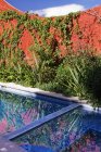 Piscine dans le jardin et bain à remous à l'hôtel, San Miguel de Allende, Guanajuato, Mexique — Photo de stock