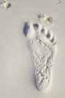 Fußabdruck im feuchten weißen Sand mit Muscheln, Nahaufnahme — Stockfoto