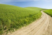 Грунтова дорога через пшенична сфера, Palouse, Вашингтон, США — стокове фото