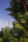 Petronas domine derrière le feuillage tropical, Kuala Lumpur, Malaisie — Photo de stock
