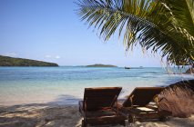 Тропическое побережье острова с пляжными стульями и пальмами — стоковое фото