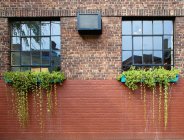 Flower boxes on brick wall with windows, New York City, New York, USA — Stock Photo