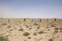 Барвистий ряд бочок в пустелі Арізона, США — стокове фото