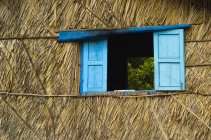Blue shutters on palm-thached house, Mekong Delta, Vietnam, Asia — Stock Photo