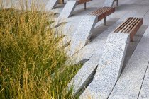 Abstract park benches and green grass on street of New York city, New York, United States — Stock Photo