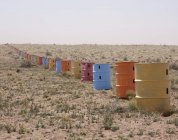 Colorful row of barrels in desert of Arizona, USA — Stock Photo