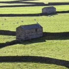 Granges de pierre et pâturage de moutons dans les pâturages, fond Gunnerside, Swaledale, Yorkshire Dales, Royaume-Uni — Photo de stock