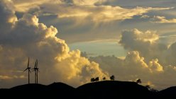 Éoliennes et arbres silhouettes sous des nuages pittoresques — Photo de stock