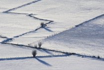 Límites de la línea de valla en nieve blanca - foto de stock