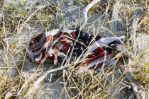 Американский флаг, скомканный на песчаной земле и поврежденный — стоковое фото