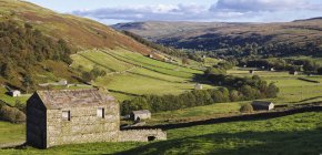 Pascoli rurali con fienili, Thwaite, Swaledale, Yorkshire Dales, Regno Unito — Foto stock