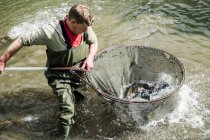 Reifer Mann in Watstiefeln steht im Fluss und hält ein großes Fischnetz mit Forellen in der Hand. — Stockfoto