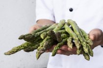 Close-up of chef holding bunch of green asparagus. — Stock Photo