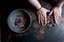 Vue grand angle des mains féminines triant les haricots mouchetés violets dans un bol sur une table en bois . — Photo de stock