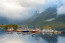 Barcos de pesca e cabanas de madeira tradicionais, ilhas Lofoten, Noruega, Europa . — Fotografia de Stock