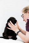 Primo piano di donna bionda esaminando cucciolo labrador nero . — Foto stock