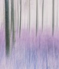 Abstrato movimento borrado de floresta de pinheiros lodgepole e prado . — Fotografia de Stock