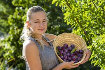 Portrait of smiling teen girl holding basket of plums. — Stock Photo