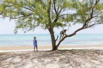 Blonde teenage girl climbing tree on sandy beach. — Stock Photo