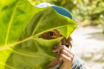 Boy hiding behind huge green leaf on nature trail — Stock Photo