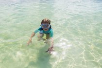 Маленький хлопчик у воді з зірковою рибою на острові Гранд Кайман. — стокове фото