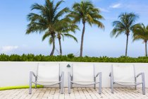 Sedie a bordo piscina e palme, Grand Cayman Island — Foto stock