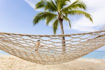 Hammock, green palm tree and people in background, Grand Cayman Island — Stock Photo
